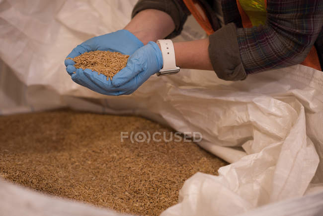 Mid section of female worker checking grains at warehouse — Stock Photo