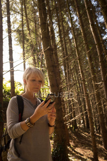 Mujer usando teléfono móvil en el bosque en un día soleado - foto de stock