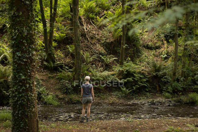 Vista posteriore della donna in piedi nella foresta — Foto stock
