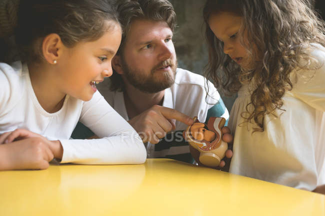 Pai explicando suas filhas sobre o modelo do feto em casa — Fotografia de Stock