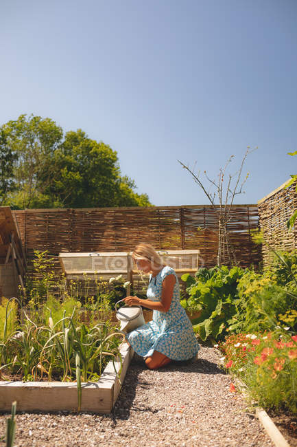 Mulher regando plantas no jardim em um dia ensolarado — Fotografia de Stock