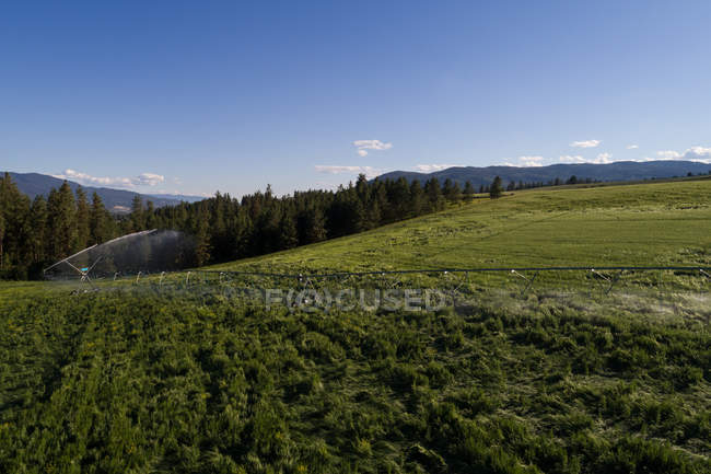 Vista aérea del campo verde en el campo - foto de stock