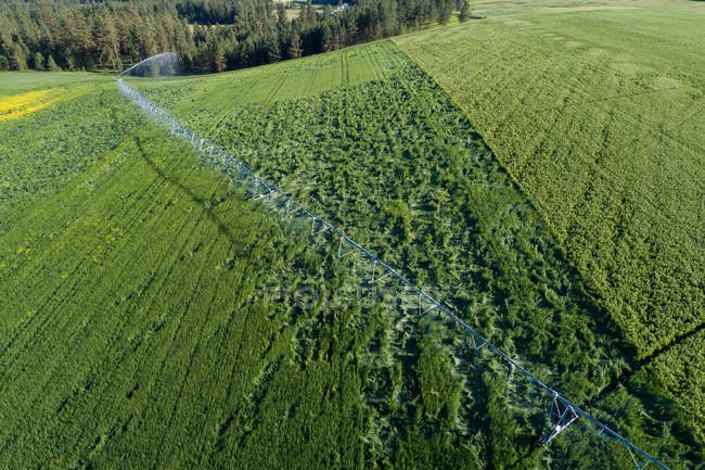 Vista aérea del campo verde en el campo - foto de stock