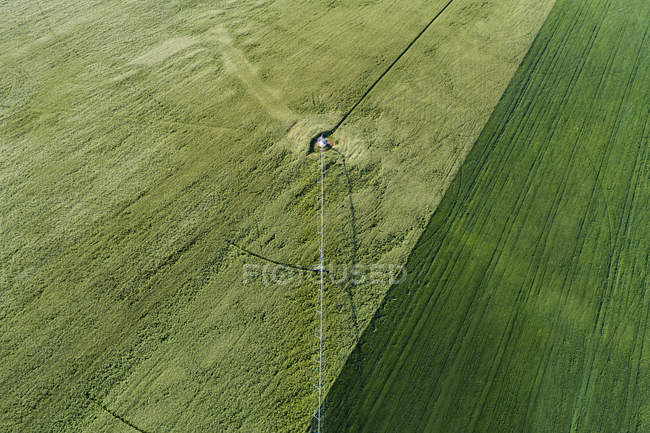 Veduta aerea del campo verde in campagna — Foto stock