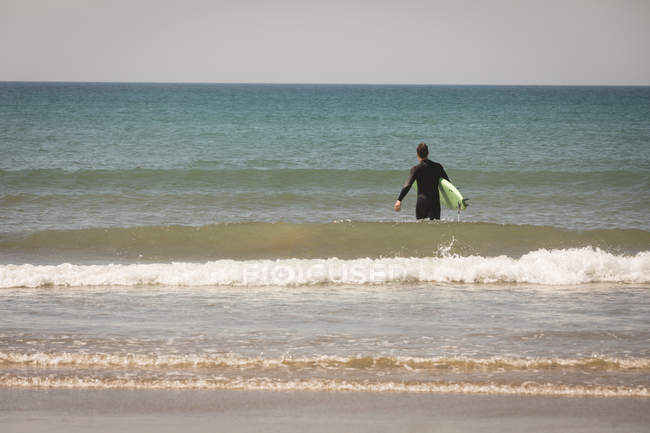 Vista trasera del surfista con tabla de surf caminando en el mar - foto de stock