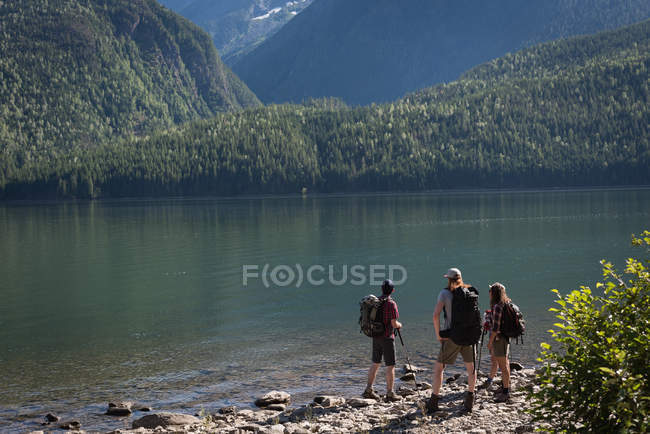 Vista trasera de los excursionistas de pie cerca de la orilla del río - foto de stock