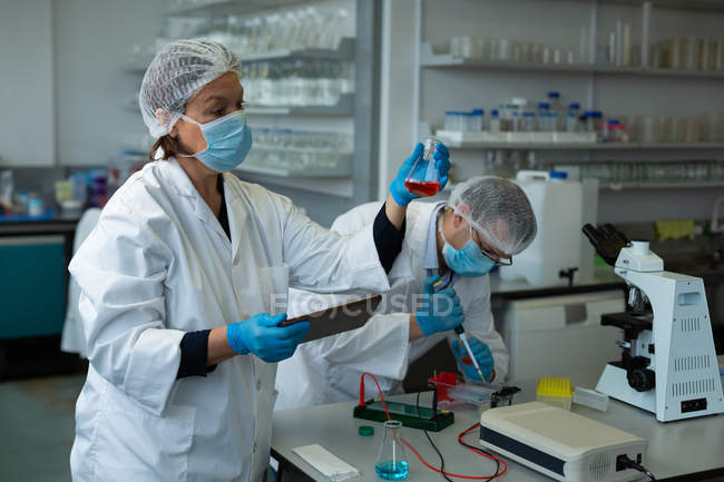 Wissenschaftler experimentieren gemeinsam im Labor — Stockfoto