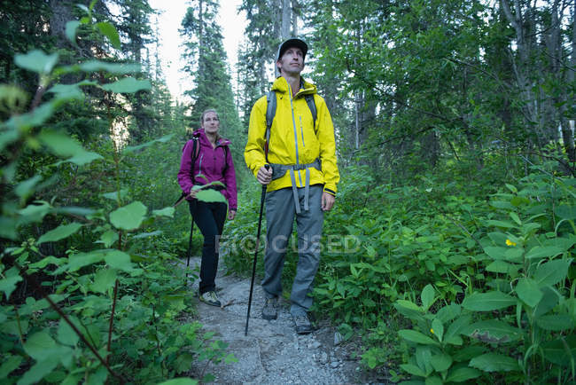 Couple randonnée dans la forêt — Photo de stock