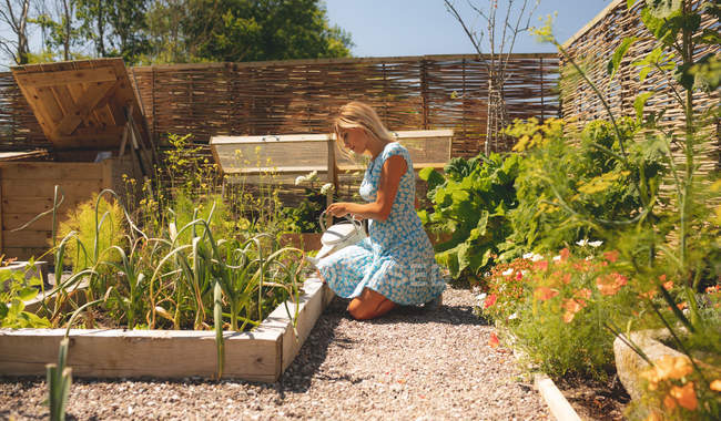 Donna che annaffia le piante in giardino in una giornata di sole — Foto stock