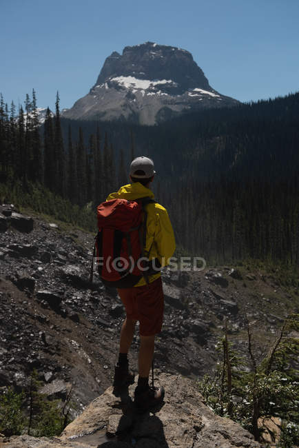 Vista trasera del caminante masculino de pie sobre una roca en las montañas - foto de stock