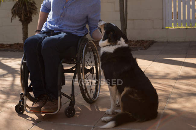 Людина з обмеженими можливостями кидає собаку на задній двір в сонячний день — стокове фото