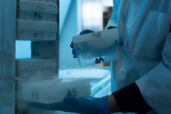 Mid section of female scientist removing ice cube in laboratory — Stock Photo