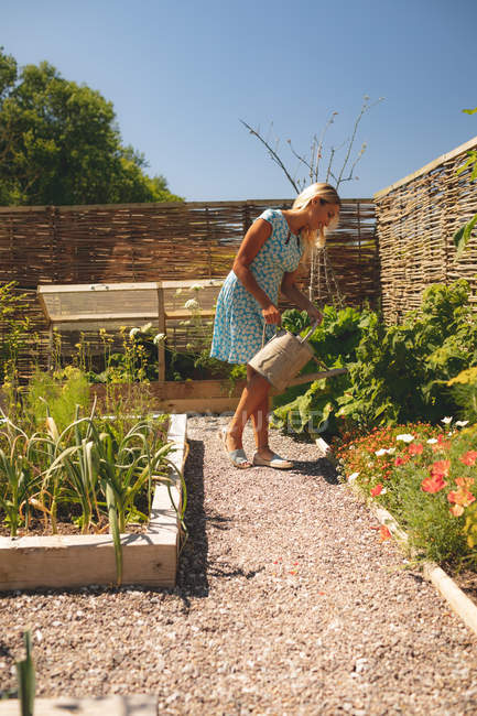 Mulher regando plantas no jardim em um dia ensolarado — Fotografia de Stock