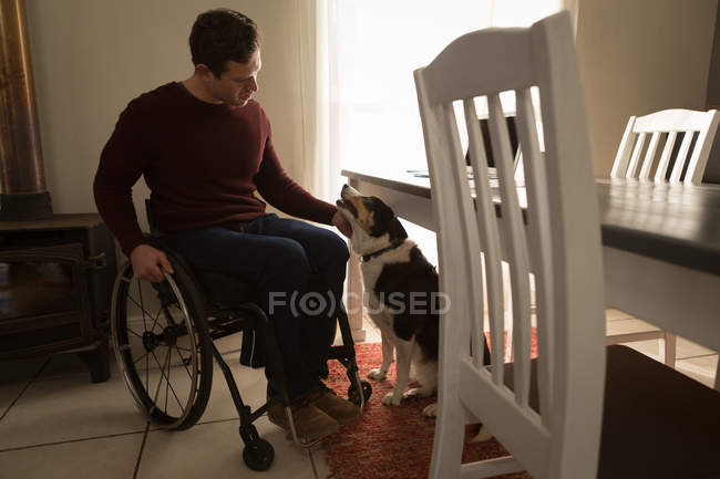 Людина з обмеженими можливостями погладжує собаку біля обіднього столу вдома — стокове фото