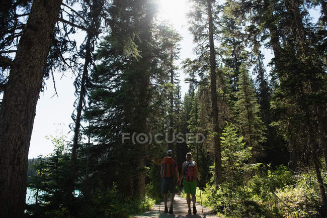 Vista trasera de pareja caminando con la mano en el bosque - foto de stock