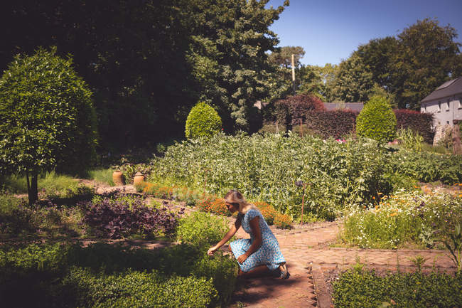 Jeune femme touchant la plante dans le jardin — Photo de stock