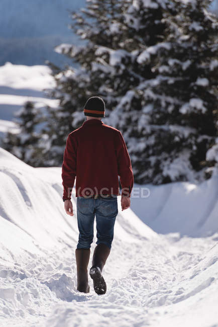 Вид ззаду людини, що йде по засніженому регіону взимку — стокове фото