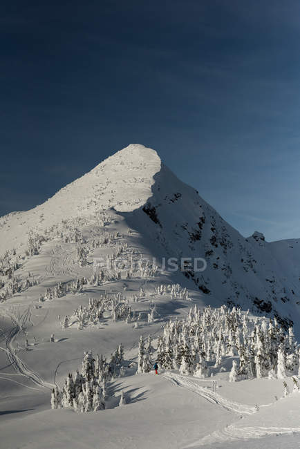 Зимой покрытая снегом гора — стоковое фото