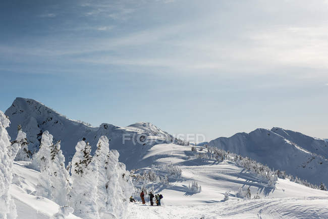 Groupe de skieurs debout sur une montagne enneigée en hiver — Photo de stock