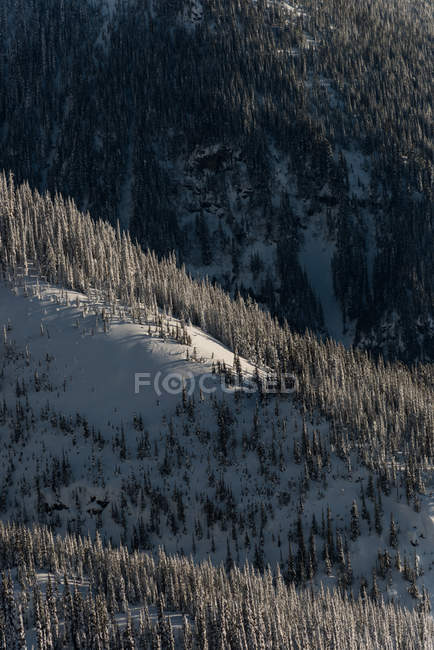 Зимой покрытые снегом горы — стоковое фото