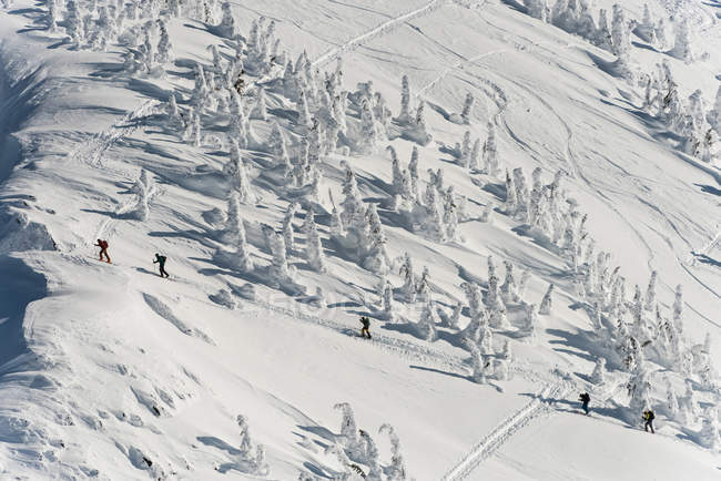 Gruppe von Skifahrern auf einem schneebedeckten Berg im Winter — Stockfoto