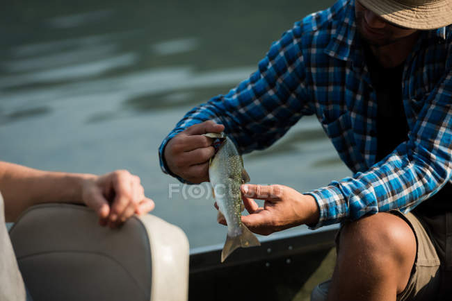 Pescador sosteniendo un pez en el barco en el campo - foto de stock