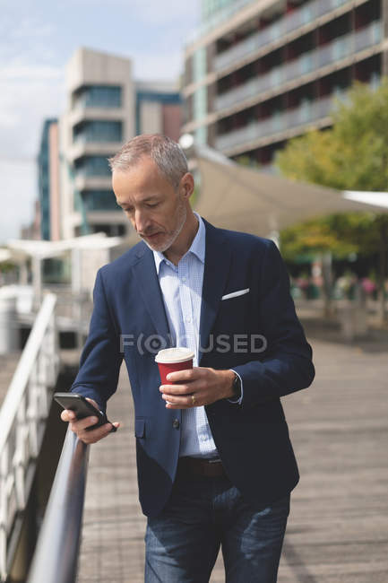 Homme d'affaires utilisant le téléphone mobile à la promenade par une journée ensoleillée — Photo de stock