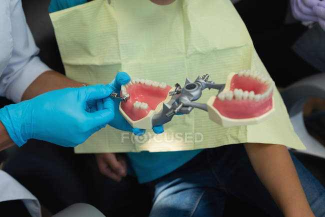 Женщина-дантист рассказывает о модели зубов в клинике — стоковое фото