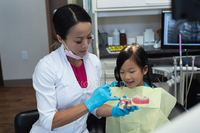 Dentista femenina explicando sobre modelo de dientes en clínica - foto de stock