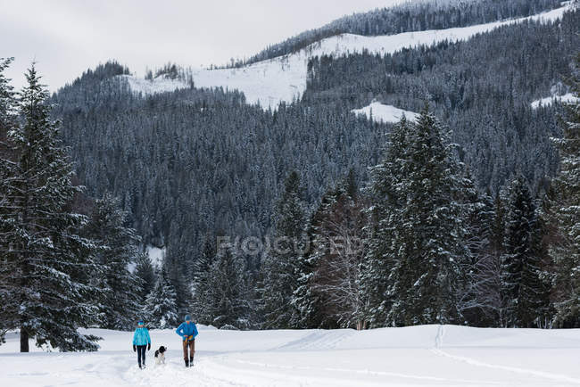 Пара с собакой, гуляющей по снегу зимой — стоковое фото
