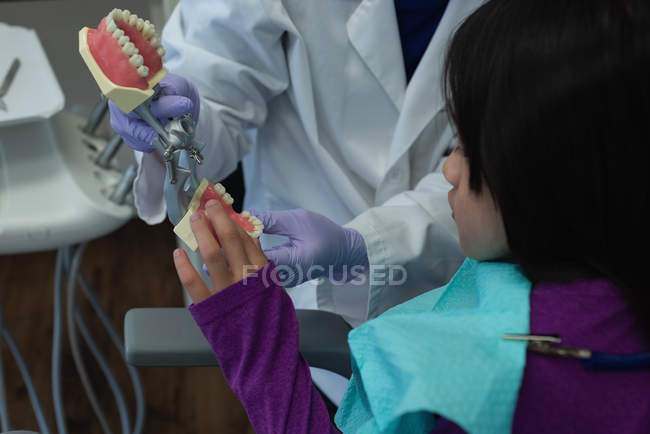 Dentiste féminine expliquant le modèle de dents en clinique — Photo de stock