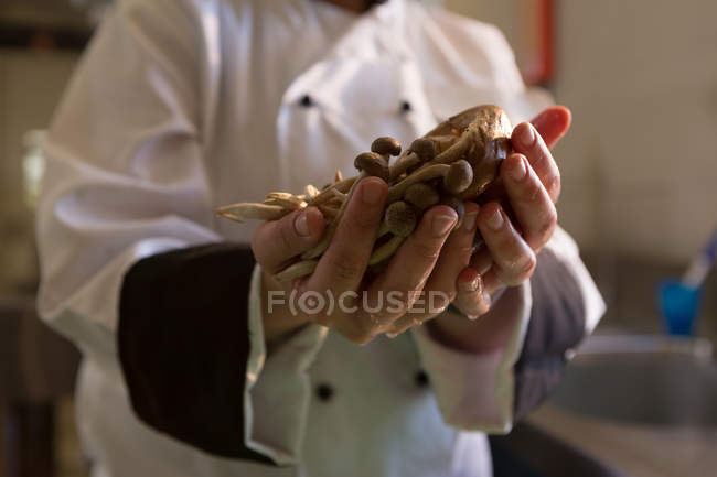 Primer plano del chef con champiñones en la mano en el restaurante - foto de stock