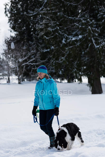 Старша жінка ходить зі своєю собакою в сніжному пейзажі взимку — стокове фото