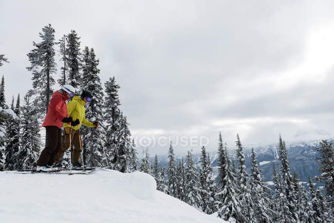 Лыжная пара катается на снежном ландшафте зимой — стоковое фото