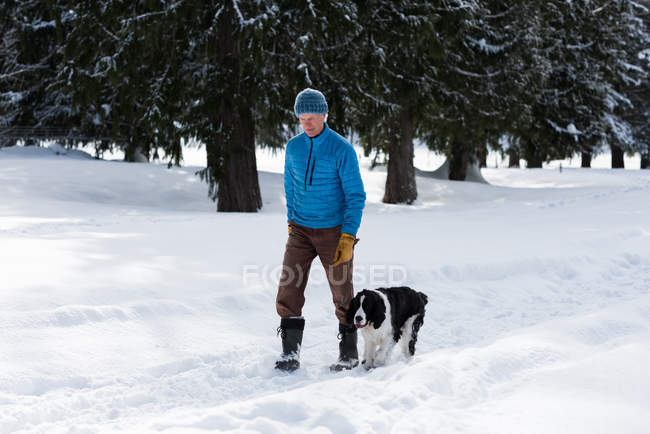 Старший мужчина гуляет со своей собакой в снежном пейзаже зимой — стоковое фото