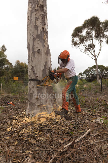 Дроворуб проведення бензопилою в лісі в сільській місцевості — стокове фото