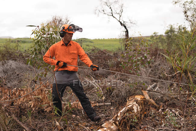 Jeune bûcheron travaillant en forêt — Photo de stock
