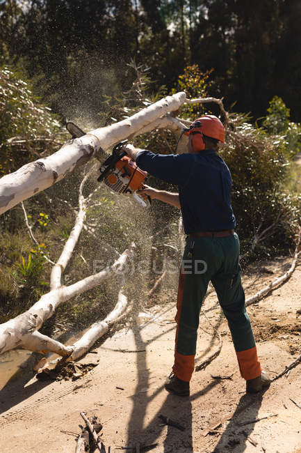 Лесоруб рубит упавшее дерево в лесу в сельской местности — стоковое фото