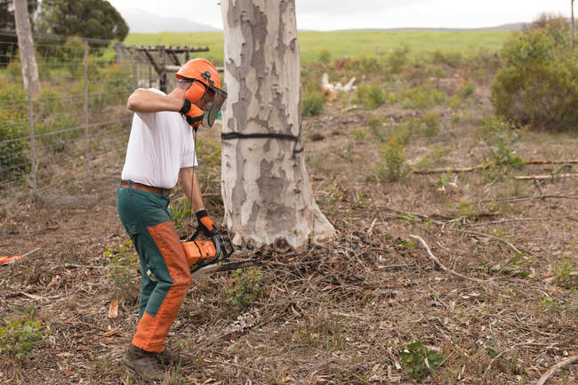 Holzfäller fällen Baum im Wald auf dem Land — Stockfoto
