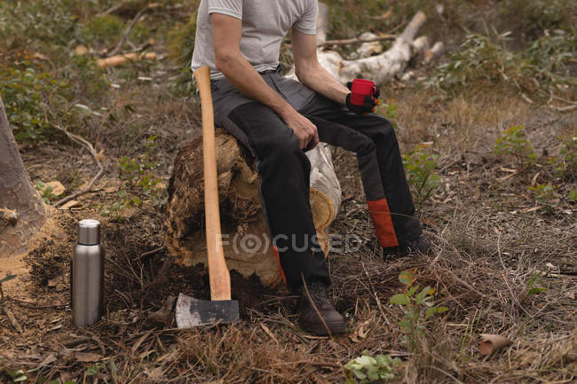 Lumberjack relaxante no toco de árvore na floresta — Fotografia de Stock