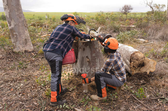 Лесоруб рубит дерево в лесной местности — стоковое фото