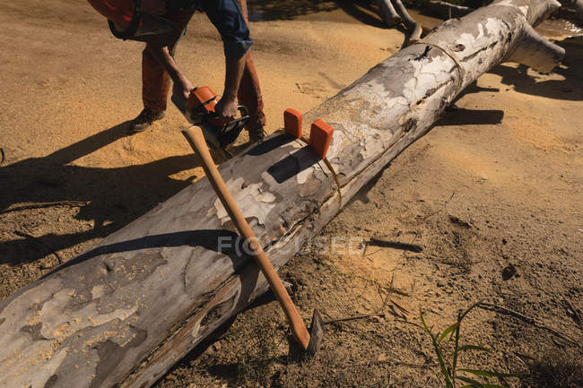 Waldarbeiter fällen umgestürzten Baum im Wald auf dem Land — Stockfoto