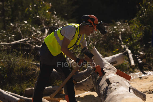 Vista lateral del leñador cortando árbol caído con hacha en el bosque - foto de stock
