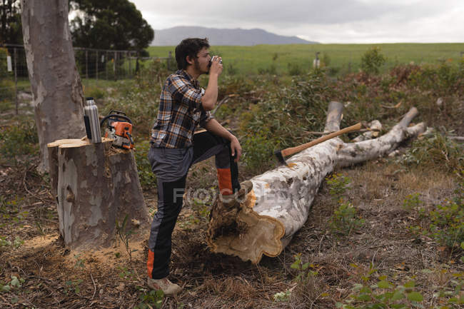 Bûcheron ayant un verre d'eau lors de la coupe d'arbres dans la forêt — Photo de stock