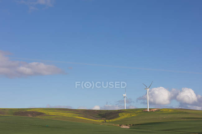 Ветряная мельница в зеленом пейзаже в солнечный день — стоковое фото