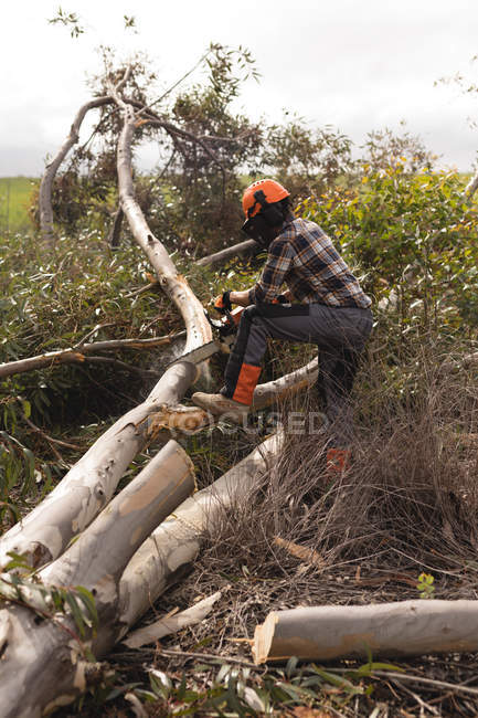 Vista lateral del leñador con motosierra que corta el tronco del árbol - foto de stock