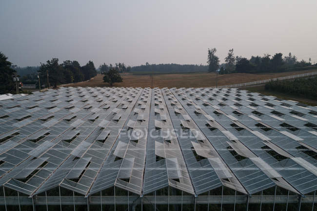 Aerial of futuristic glass roof of greenhouse in farmland. — Stock Photo