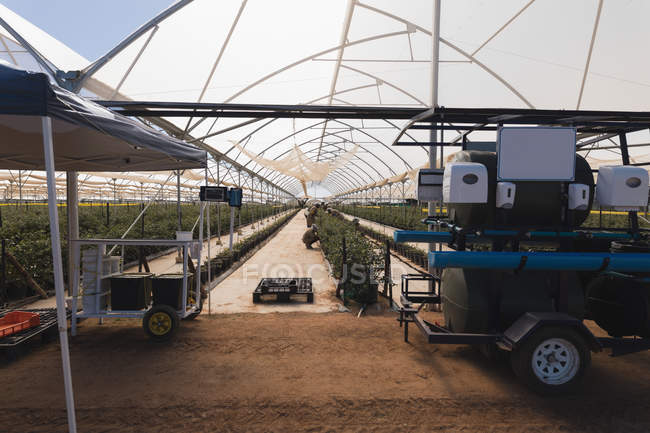 Vue intérieure de la ferme moderne de bleuets avec des machines — Photo de stock