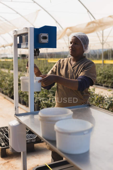 Worker using weighing machine in blueberry farm — Stock Photo