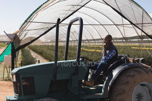 Человек разговаривает по мобильному телефону, сидя на тракторе на черничной ферме — стоковое фото